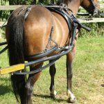 Classic Sliding Back Harness