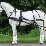 WebZ Single Harness