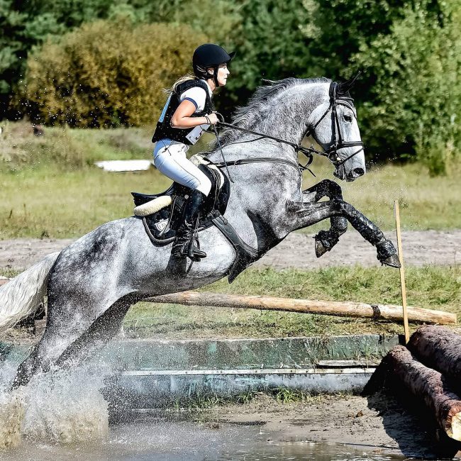 Majyk Equipe Color Elite Eventing XC Boots - Hind - Image 11