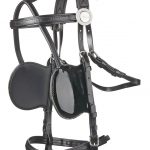 Fine Patent Driving Bridle