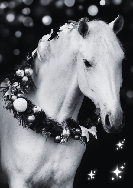Christmas Guide
