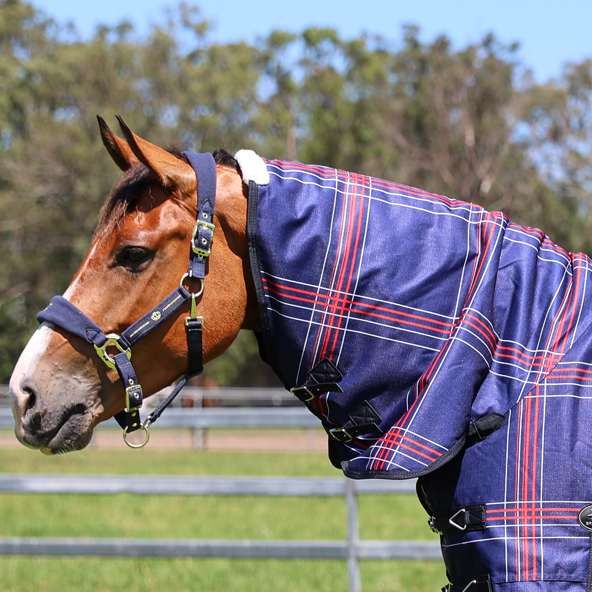Zilco Crusader 200 Neck Rug