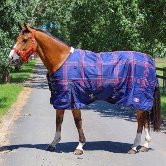 Zilco Crusader 200 Rug