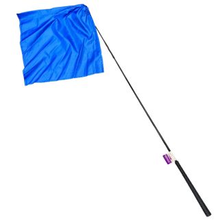 Training Flag