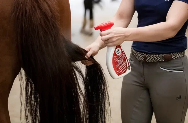 Leovet 5-Star Detangler - Image 2