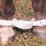 Ezy Ride Braided Hobble White