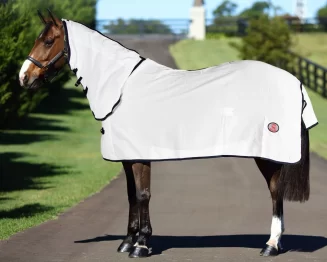 Kool Master Flag Horse Rug Combo
