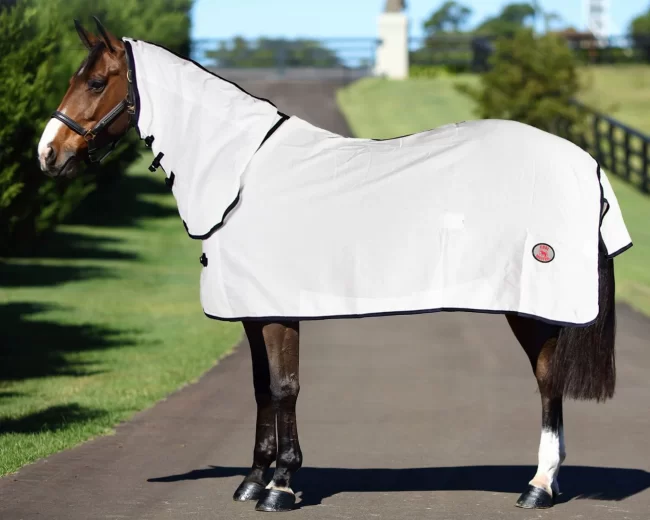 Kool Master Flag Horse Rug Combo