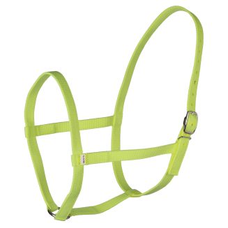 Web Underhalter CLR - Fluorescent Green