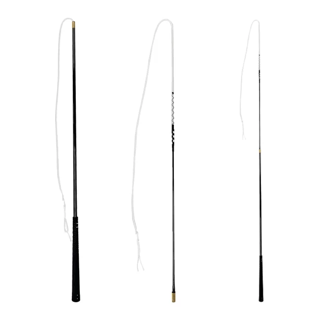 Toptac Telescopic Lunge / Training Whip