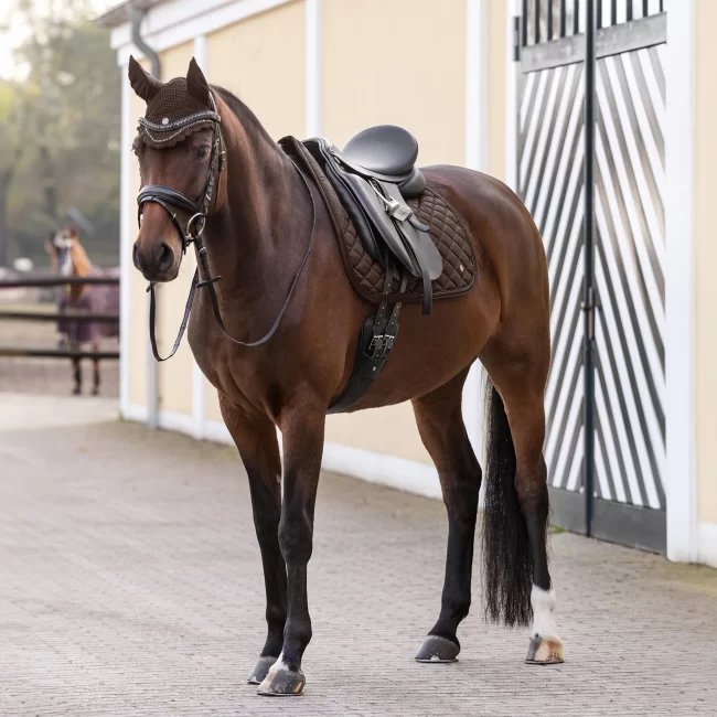 Waldhausen Nepal Saddle Pad All Purpose - Image 12