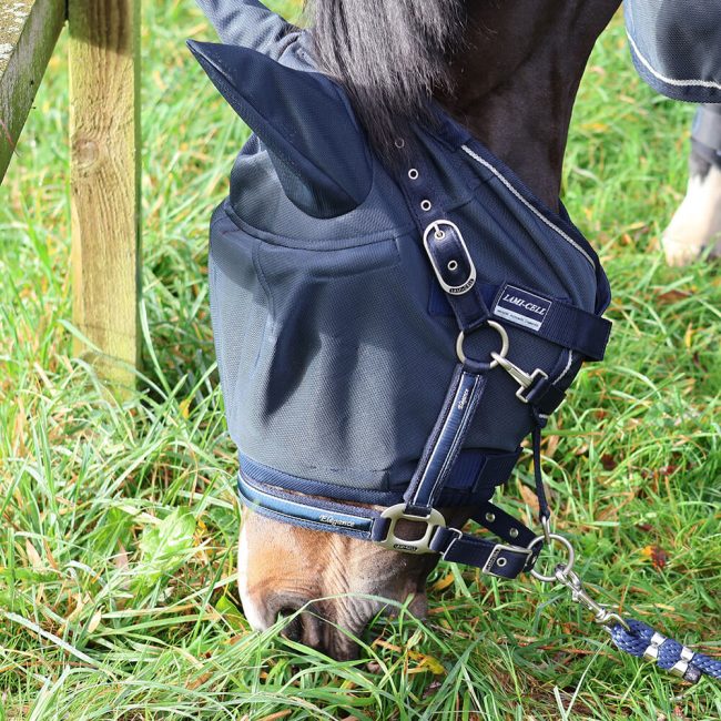 Lami-Cell Insect Master Fly Mask - Image 3