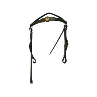 Western Bridle 1