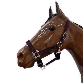 Halter with Solid Buckles