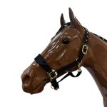 Halter with Gold Buckles