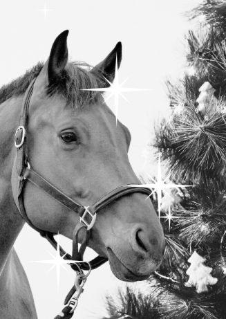 Christmas Gift Ideas