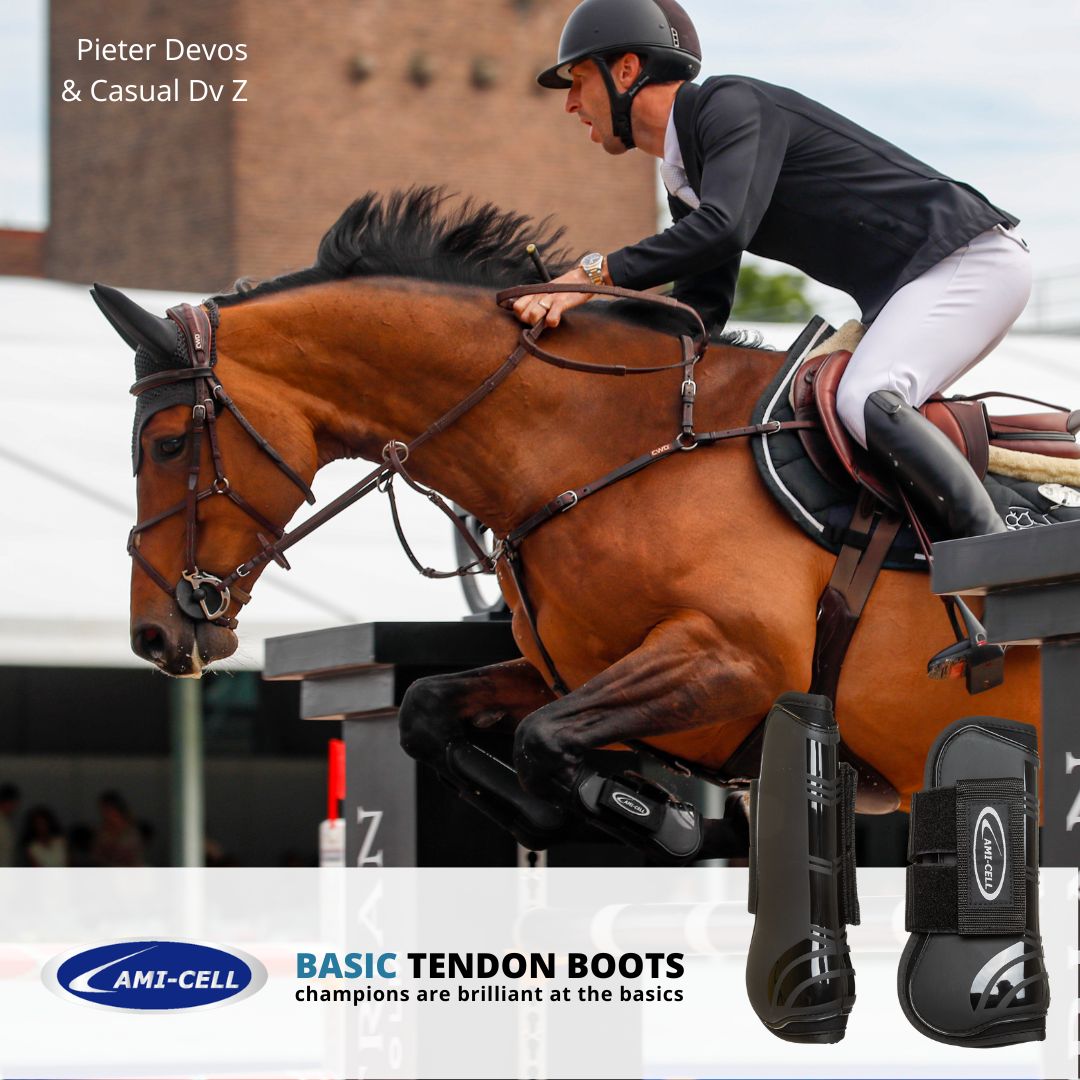 Lami-Cell Basic Tendon Boots - Image 4