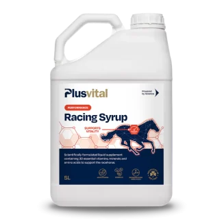 Plusvital Racing Syrup 5L