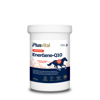 Plusvital EnerGene-Q10 750g