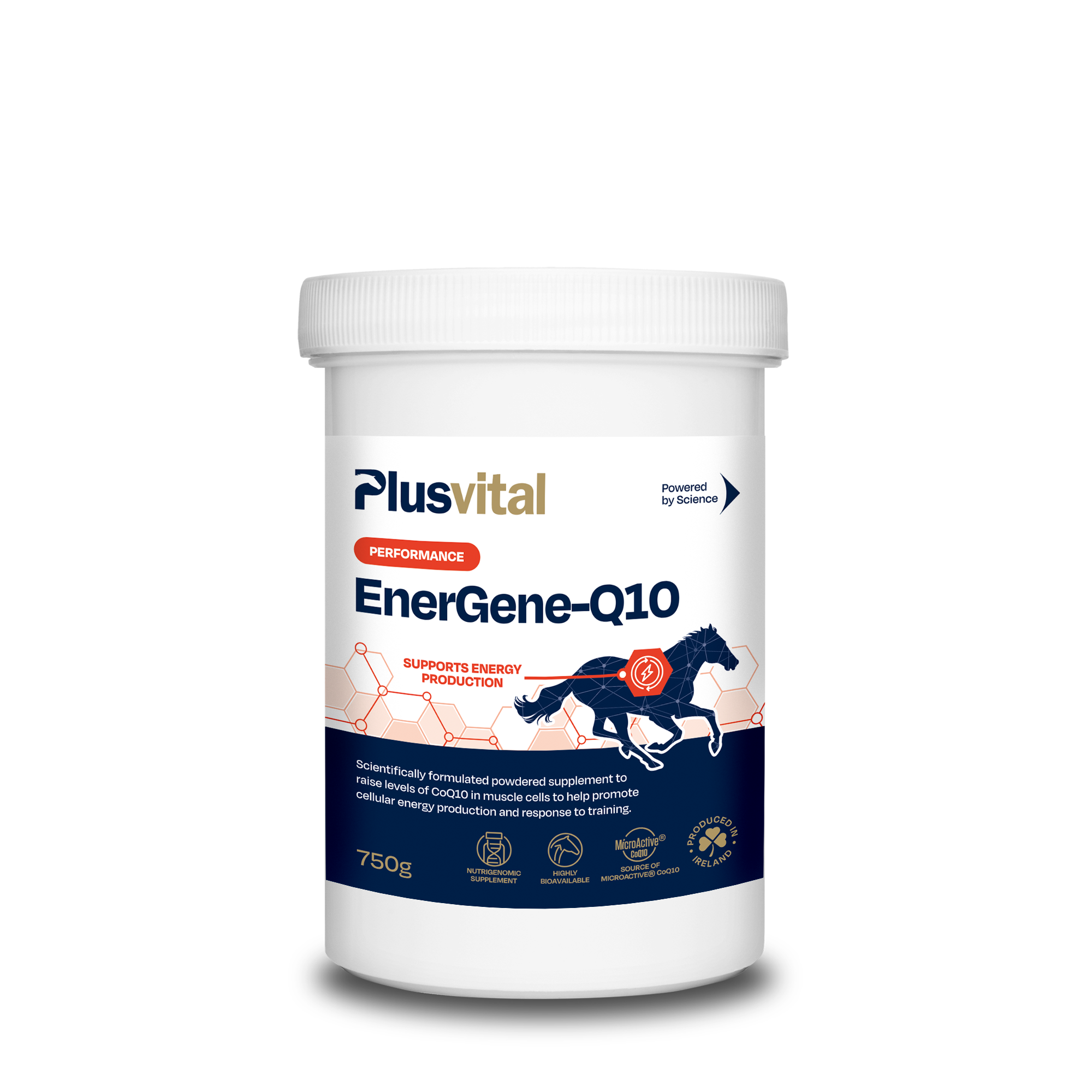Plusvital EnerGene-Q10 750g