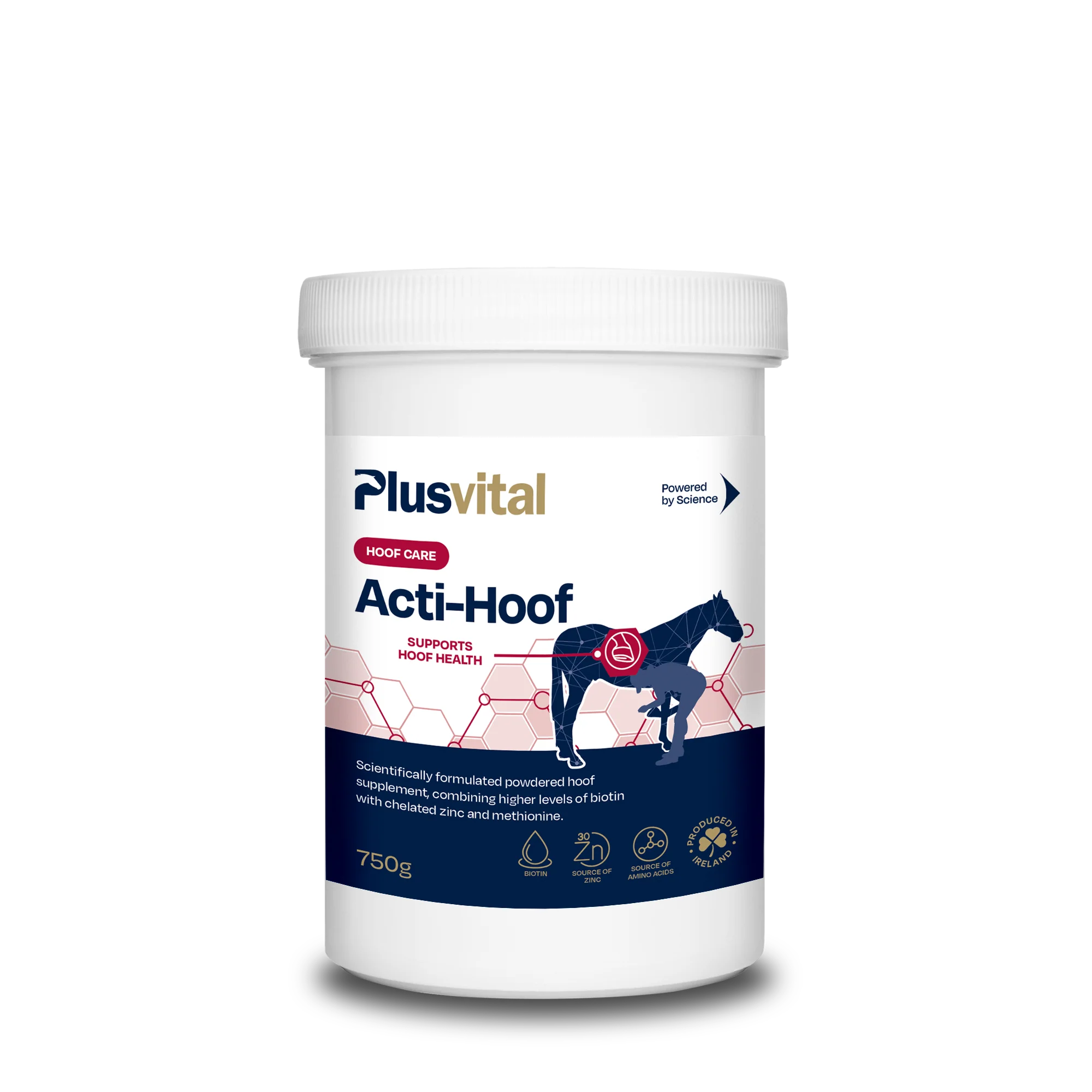 Plusvital EnerGene-Q10 750g