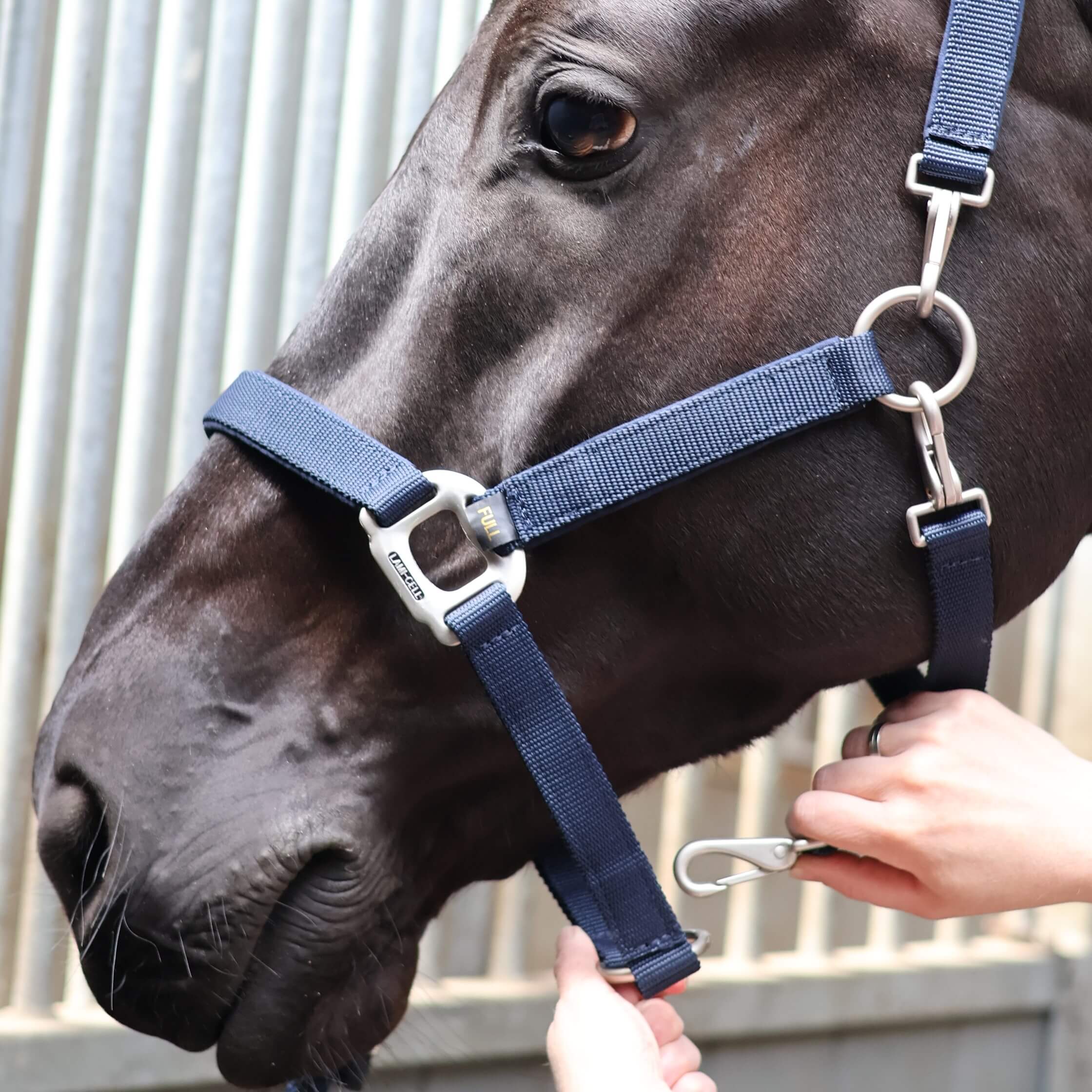 Lami-Cell Grooming Halter - Image 3