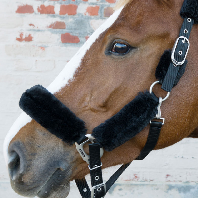 Lami-Cell Comfort Halter - Image 3