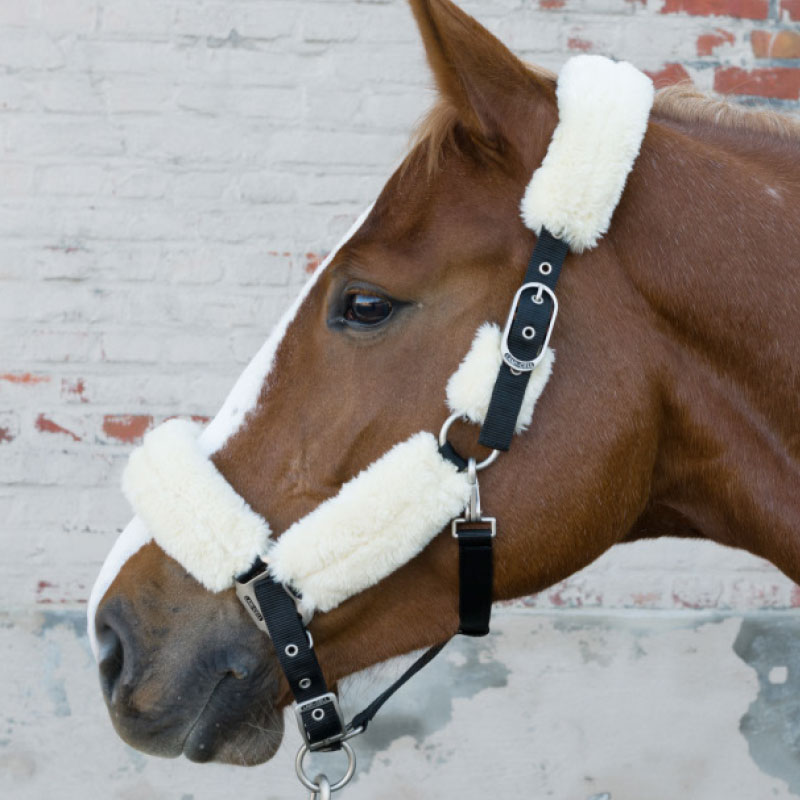 Lami-Cell Comfort Halter - Image 4