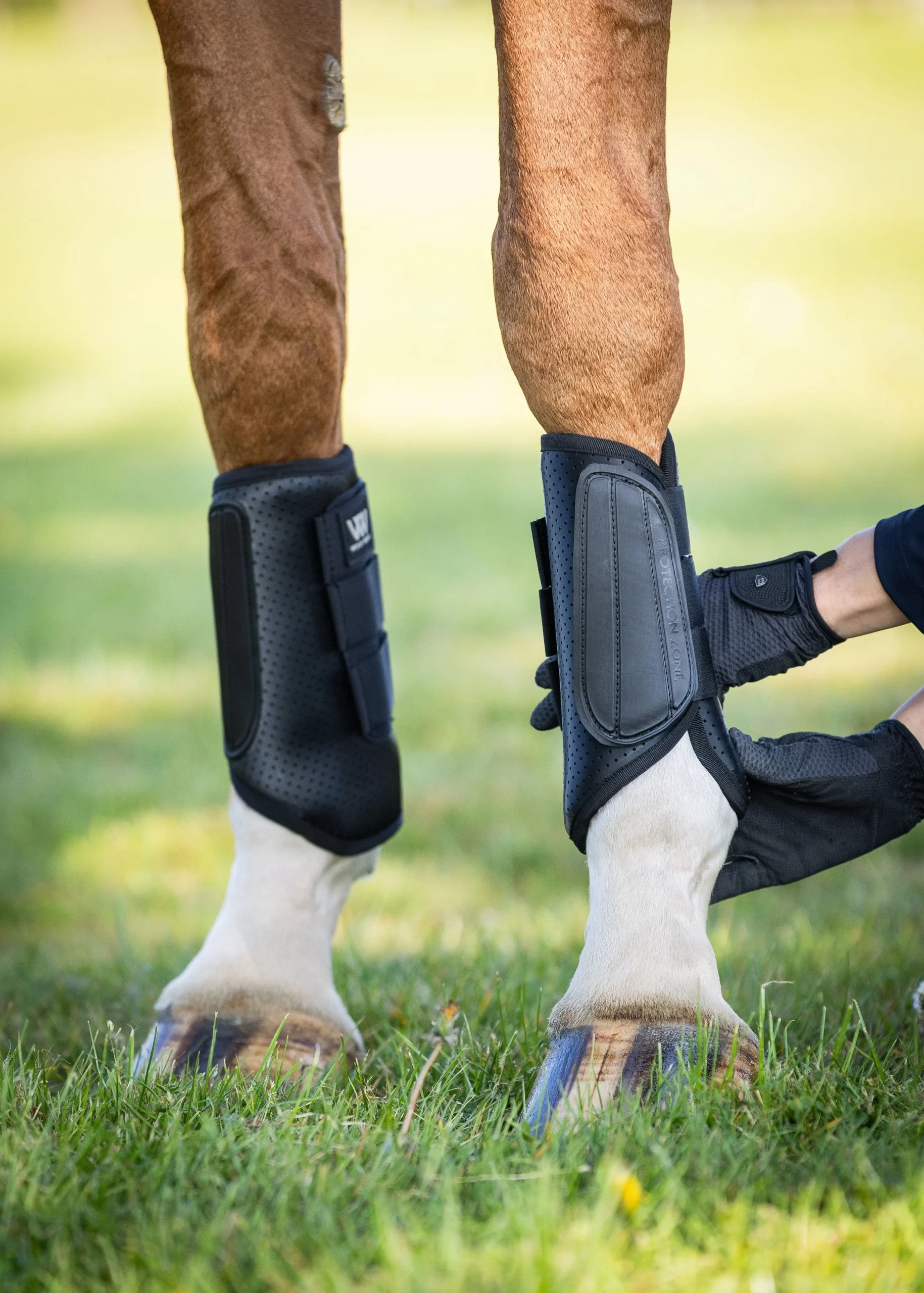 Woof Wear Pro Event Boots - Front - Image 5