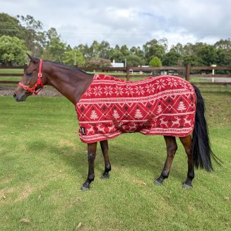 YS Fleece Rug – Limited Edition Christmas in July