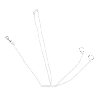 Oregon PP String Martingale