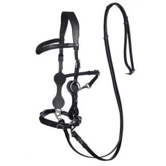 F.R.A. Calli Hackamore Bridle (System 2)
