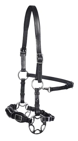 F.R.A. Miranti Hackamore Bridle (System 2)