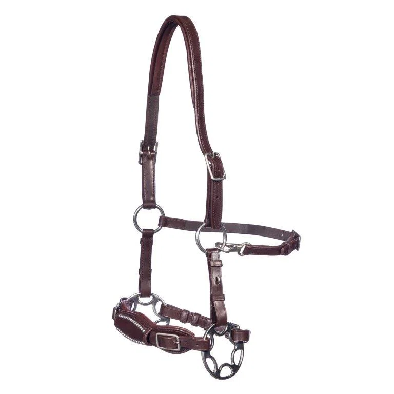 F.R.A. Miranti Hackamore Bridle (System 2) - Image 4