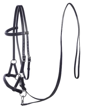 F.R.A. Pardoes Sidepull Bridle (System 3)