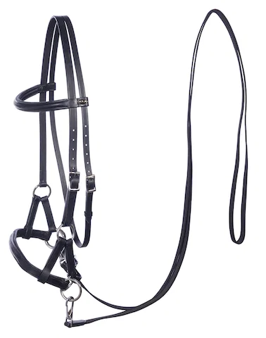 F.R.A. Pardoes Sidepull Bridle (System 3)