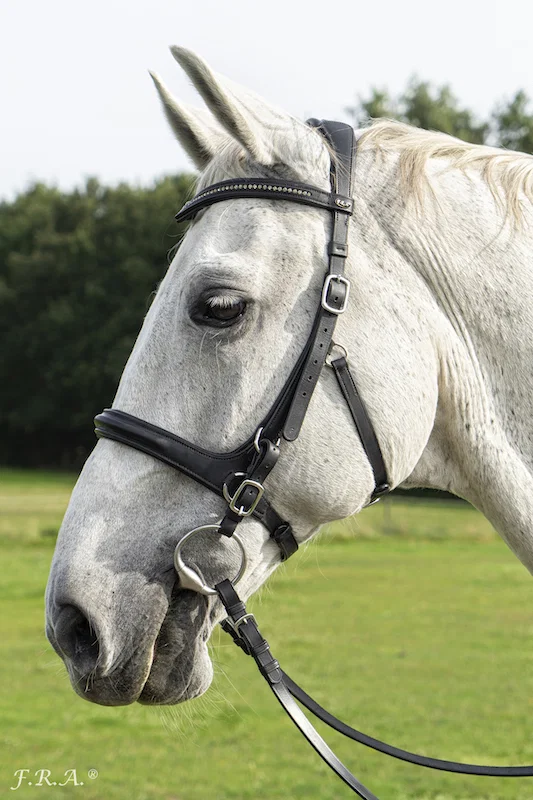 F.R.A. Runa Combi Bridle (System 3) - Image 3
