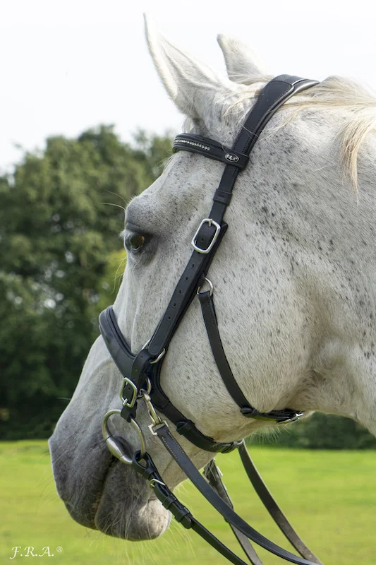 F.R.A. Runa Combi Bridle (System 3) - Image 4