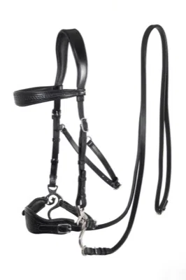 F.R.A. Fiore Hackamore Bridle (System 2)