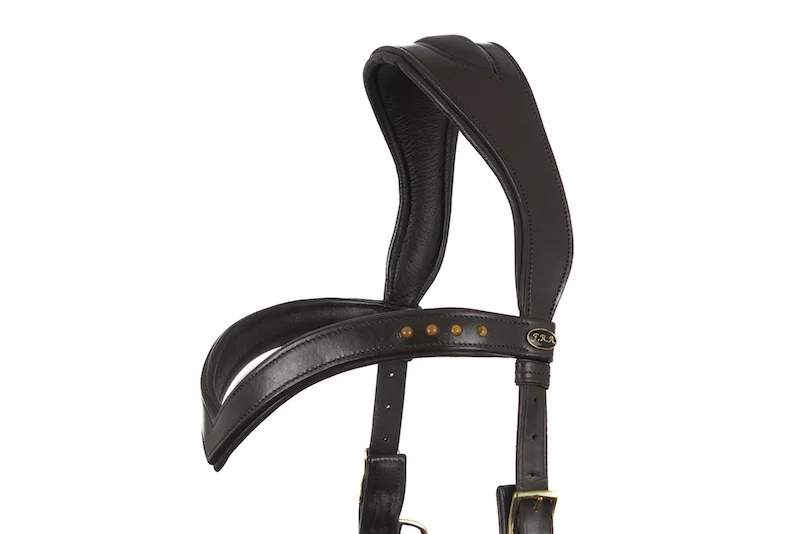 F.R.A. Glory Hackamore Bridle (System 2) - Image 4