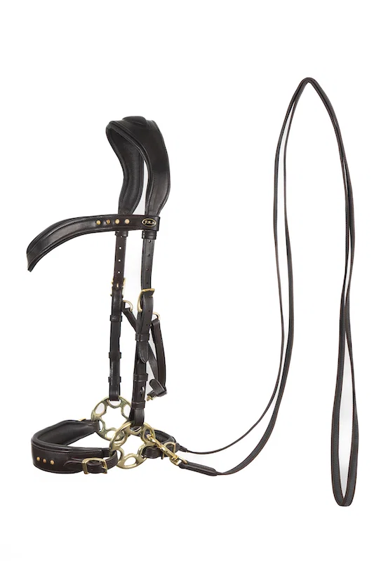 F.R.A. Glory Hackamore Bridle (System 2) - Image 2