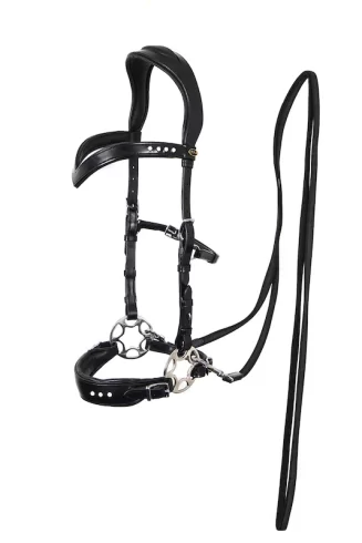 F.R.A. Glory Hackamore Bridle (System 2)