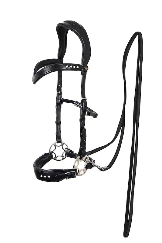 F.R.A. Glory Hackamore Bridle (System 2)