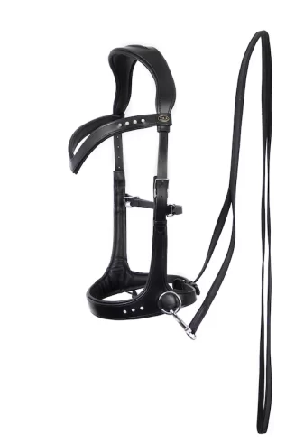 F.R.A. Glory Sidepull Bridle (System 3)