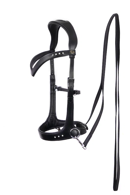 F.R.A. Glory Sidepull Bridle (System 3)