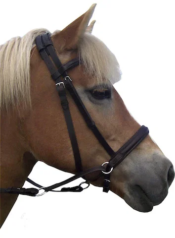 F.R.A. Indy Bitless Bridle (System 5) - Image 3