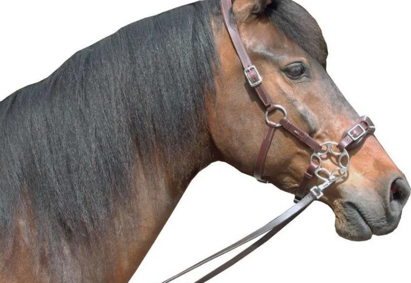F.R.A. Miranti Hackamore Bridle (System 2) - Image 2