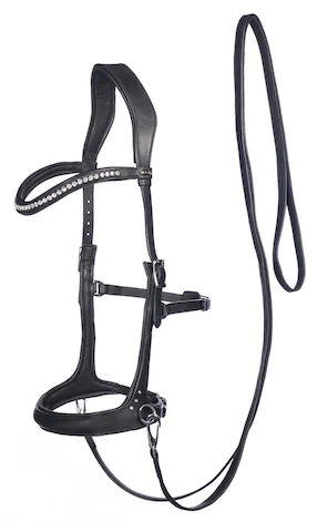 F.R.A. Rebecca Sidepull Bridle (System 3)