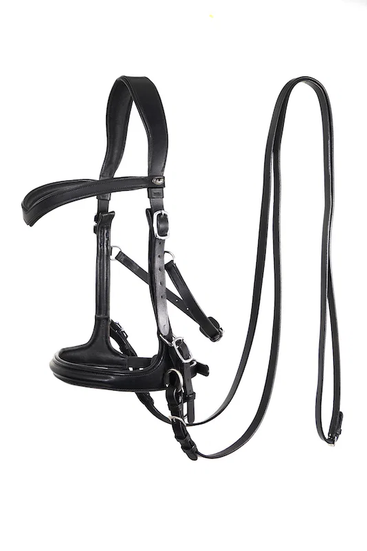 F.R.A. Runa Combi Bridle (System 3)