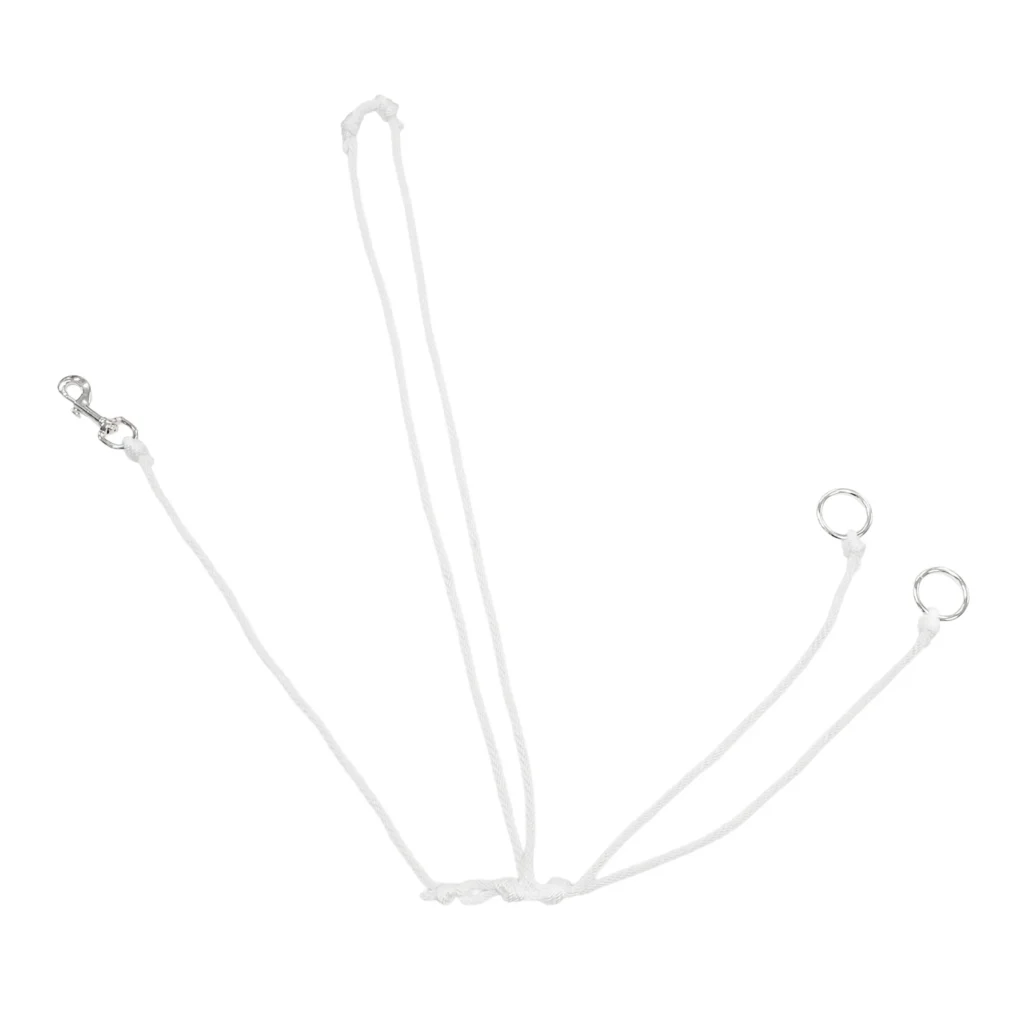 Oregon PP String Martingale
